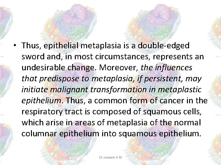 • Thus, epithelial metaplasia is a double-edged sword and, in most circumstances, represents • Thus, epithelial metaplasia is a double-edged sword and, in most circumstances, represents