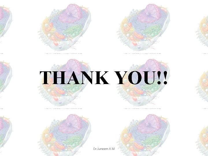 THANK YOU!! Dr. Juneem. K. M THANK YOU!! Dr. Juneem. K. M