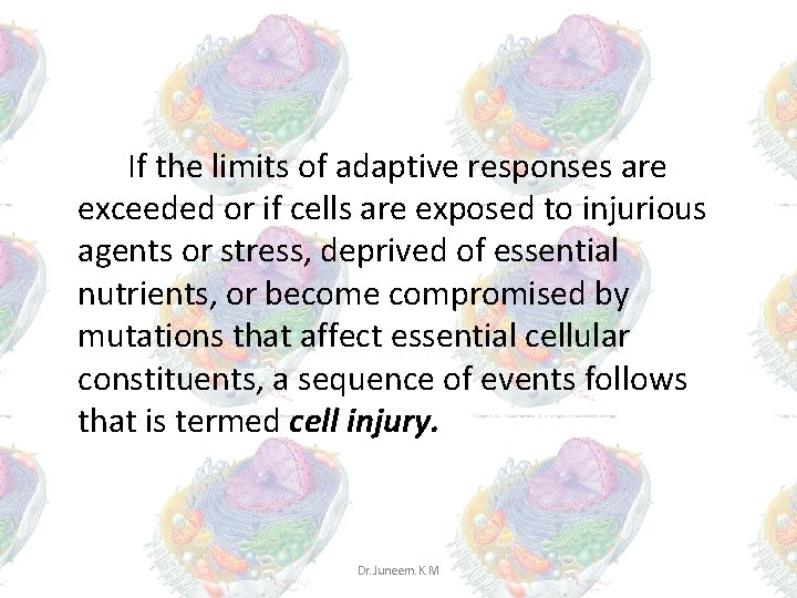 If the limits of adaptive responses are exceeded or if cells are exposed to If the limits of adaptive responses are exceeded or if cells are exposed to