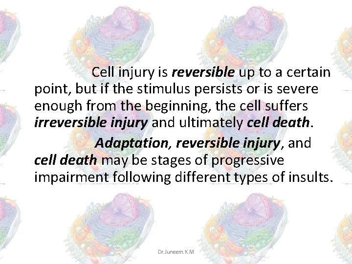 Cell injury is reversible up to a certain point, but if the stimulus Cell injury is reversible up to a certain point, but if the stimulus