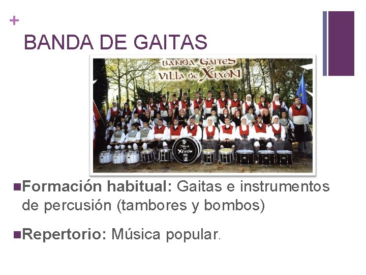 + BANDA DE GAITAS Formación habitual: Gaitas e instrumentos de percusión (tambores y bombos)