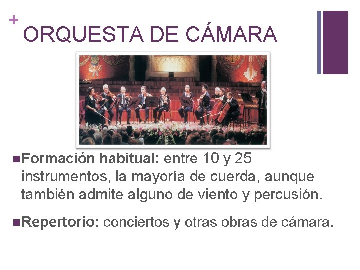 + ORQUESTA DE CÁMARA Formación habitual: entre 10 y 25 instrumentos, la mayoría de