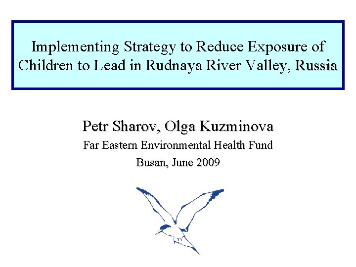 Implementing Strategy to Reduce Exposure of Children to Lead in Rudnaya River Valley, Russia