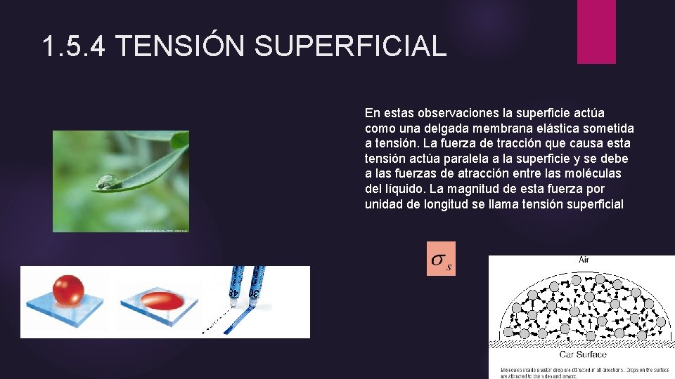 1. 5. 4 TENSIÓN SUPERFICIAL En estas observaciones la superficie actúa como una delgada