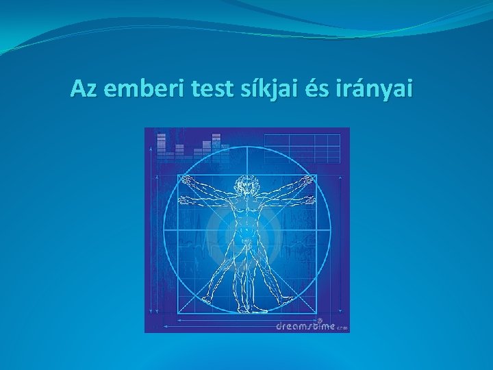 Az emberi test síkjai és irányai 