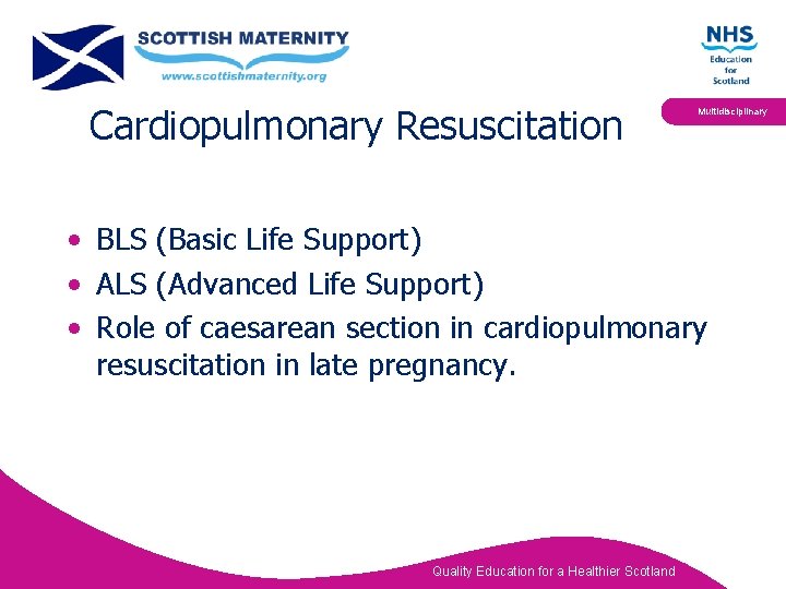 Cardiopulmonary Resuscitation Multidisciplinary • BLS (Basic Life Support) • ALS (Advanced Life Support) •