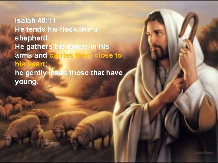 Isaiah 40: 11 He tends his flock like a shepherd: He gathers the lambs