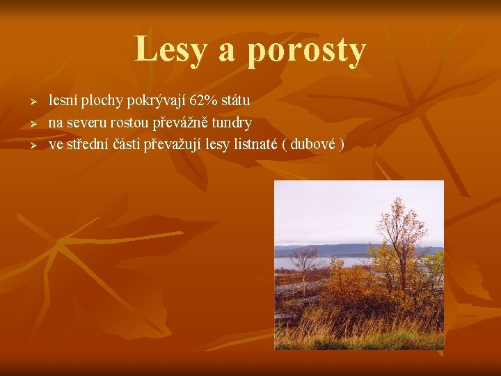 Lesy a porosty Ø Ø Ø lesní plochy pokrývají 62% státu na severu rostou