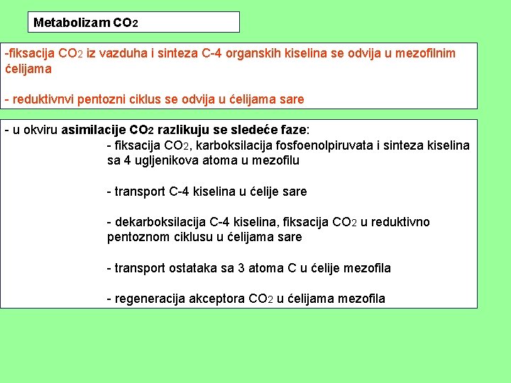 Metabolizam CO 2 -fiksacija CO 2 iz vazduha i sinteza C-4 organskih kiselina se