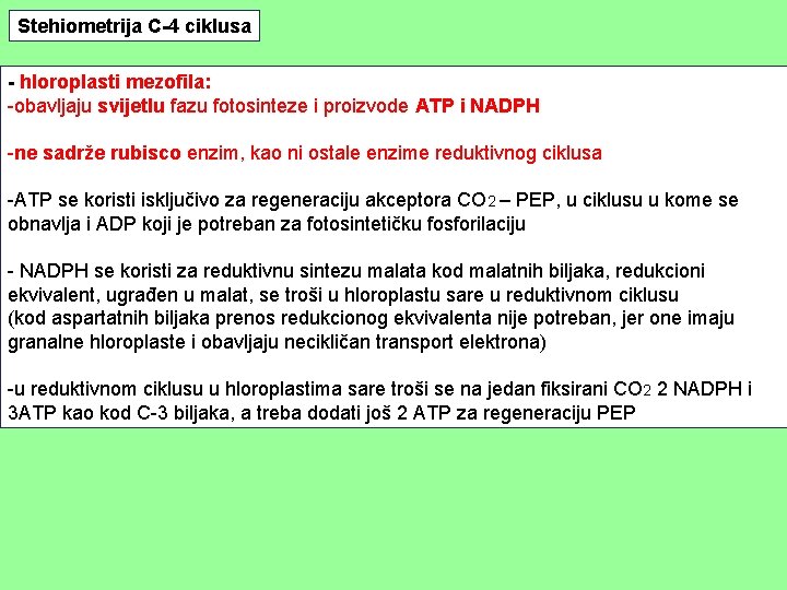 Stehiometrija C-4 ciklusa - hloroplasti mezofila: -obavljaju svijetlu fazu fotosinteze i proizvode ATP i