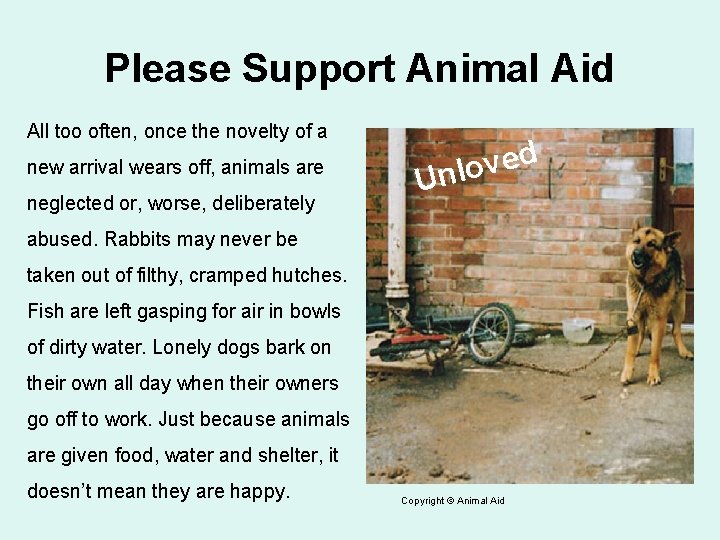 Please Support Animal Aid All too often, once the novelty of a new arrival