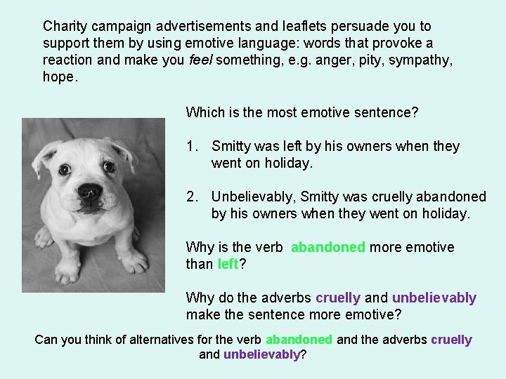 Charity campaign advertisements and leaflets persuade you to support them by using emotive language: