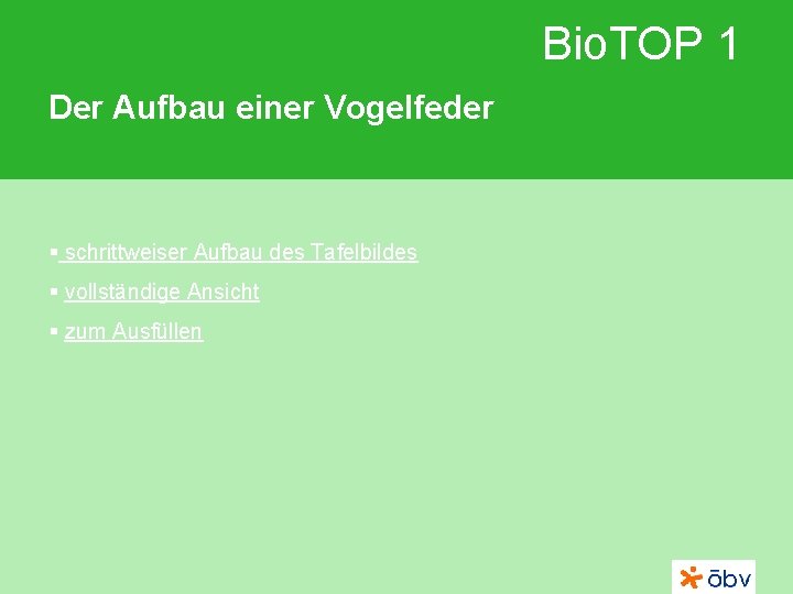 Bio. TOP 1 Der Aufbau einer Vogelfeder § schrittweiser Aufbau des Tafelbildes § vollständige