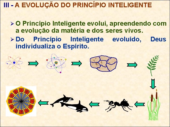 III - A EVOLUÇÃO DO PRINCÍPIO INTELIGENTE ØO Princípio Inteligente evolui, apreendendo com a
