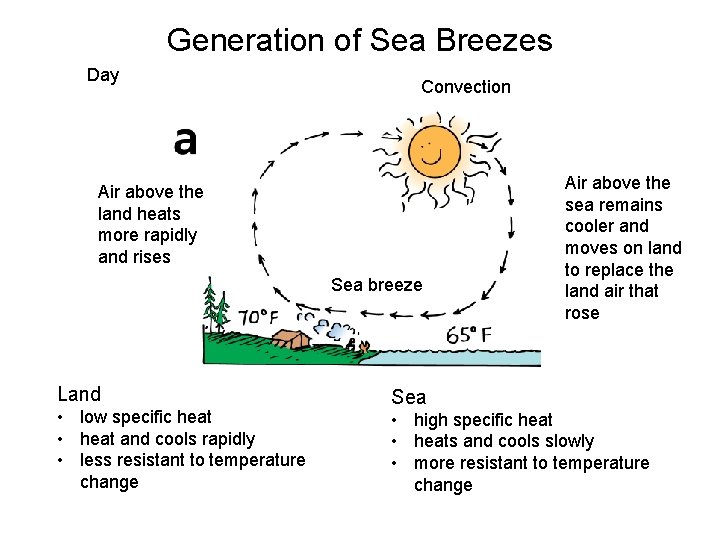 Generation of Sea Breezes Day Convection Air above the land heats more rapidly and