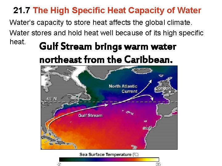 21. 7 The High Specific Heat Capacity of Water’s capacity to store heat affects