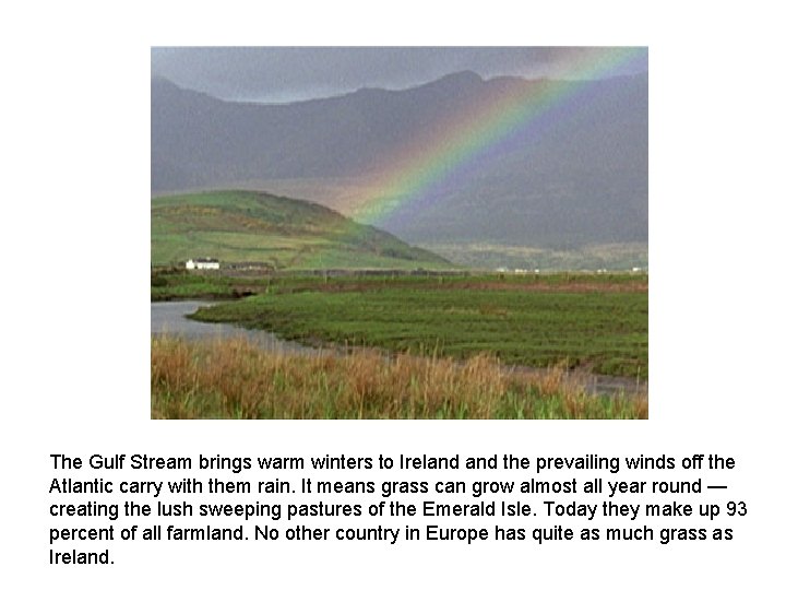 The Gulf Stream brings warm winters to Ireland the prevailing winds off the Atlantic