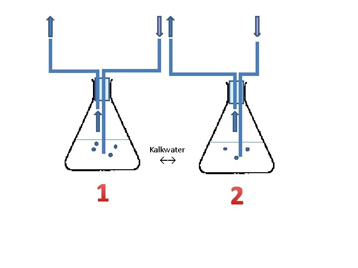 Kalkwater 1 2 