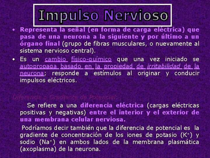  • Representa la señal (en forma de carga eléctrica) que pasa de una