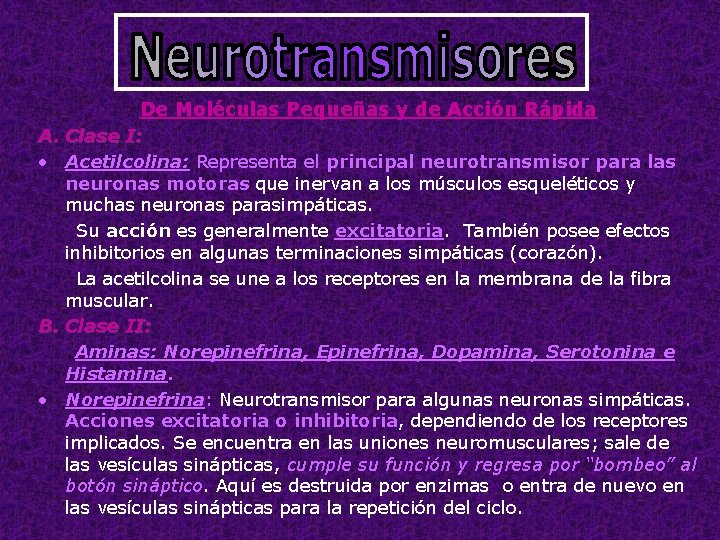 De Moléculas Pequeñas y de Acción Rápida A. Clase I: • Acetilcolina: Representa el