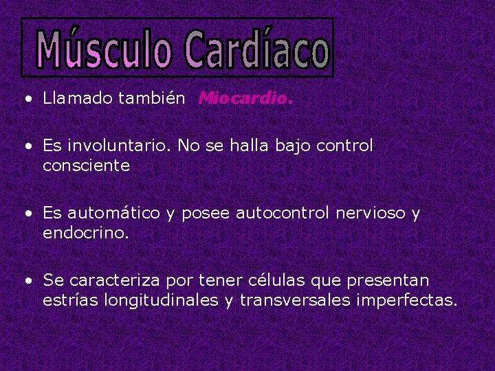  • Llamado también Miocardio. • Es involuntario. No se halla bajo control consciente