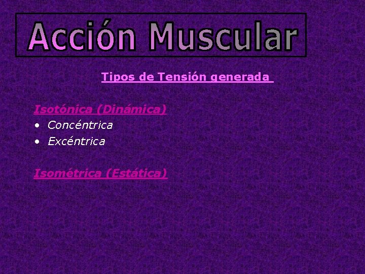 Tipos de Tensión generada Isotónica (Dinámica) • Concéntrica • Excéntrica Isométrica (Estática) 