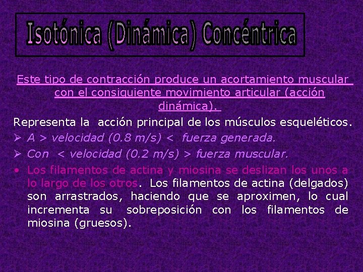 Este tipo de contracción produce un acortamiento muscular con el consiguiente movimiento articular (acción