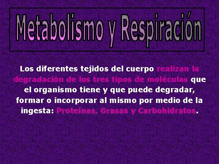 Los diferentes tejidos del cuerpo realizan la degradación de los tres tipos de moléculas