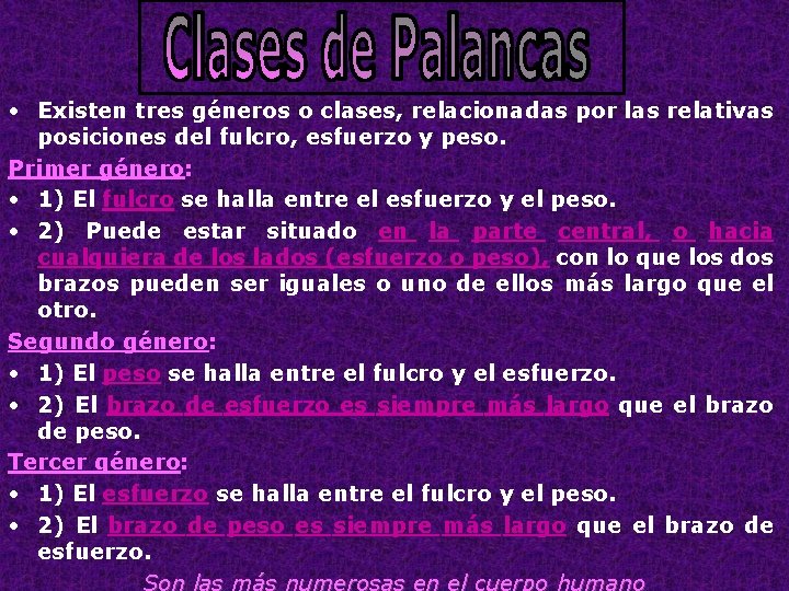  • Existen tres géneros o clases, relacionadas por las relativas posiciones del fulcro,