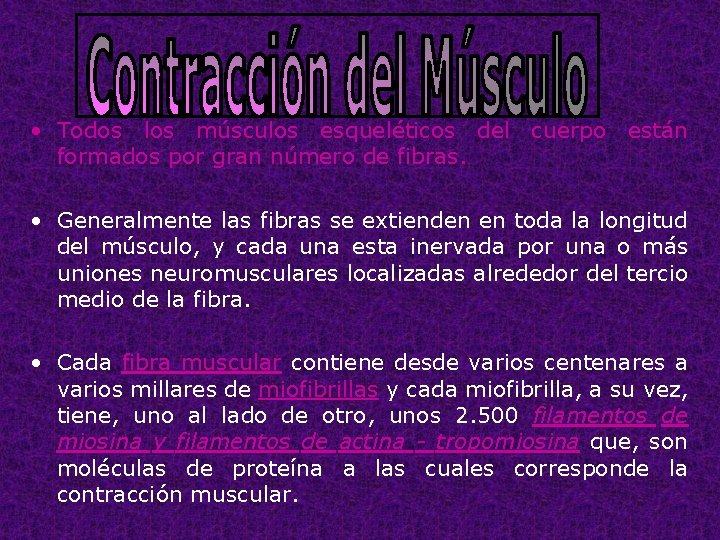  • Todos los músculos esqueléticos del cuerpo están formados por gran número de