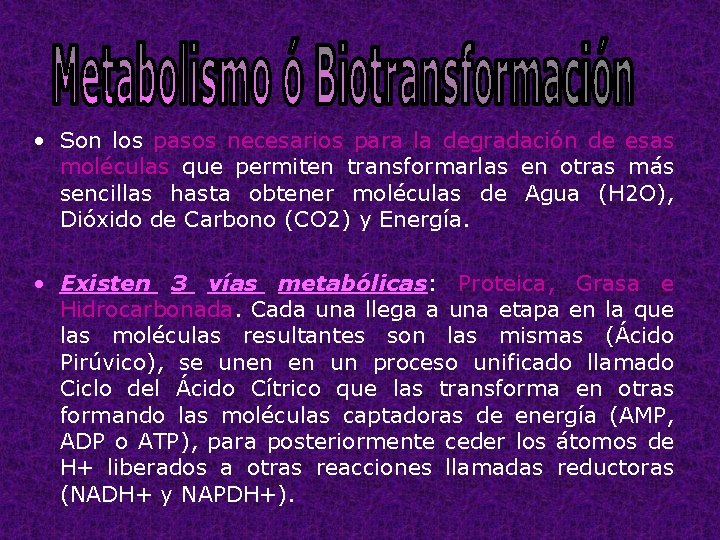  • Son los pasos necesarios para la degradación de esas moléculas que permiten