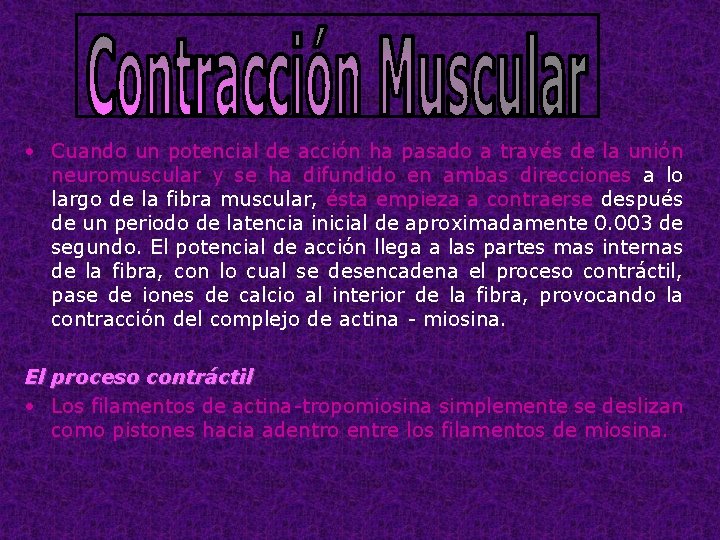  • Cuando un potencial de acción ha pasado a través de la unión