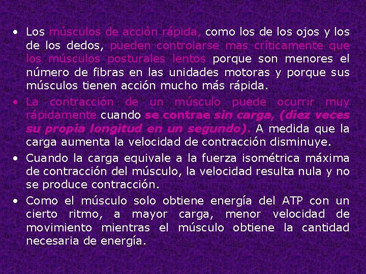  • Los músculos de acción rápida, como los de los ojos y los