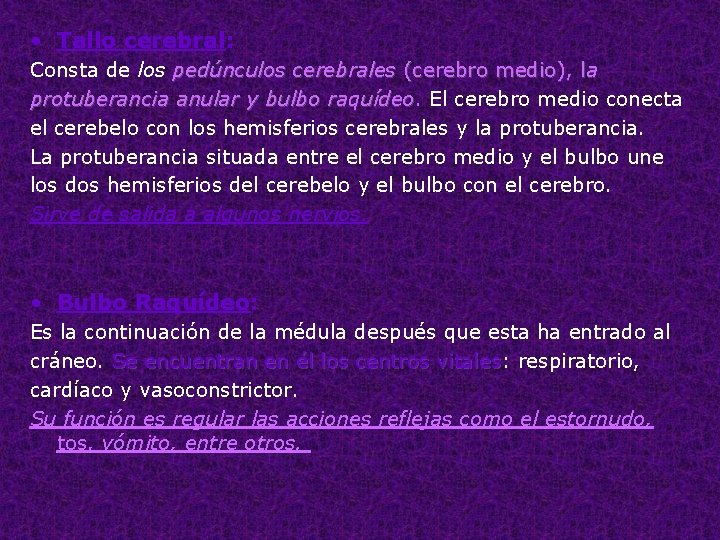  • Tallo cerebral: Consta de los pedúnculos cerebrales (cerebro medio), la protuberancia anular