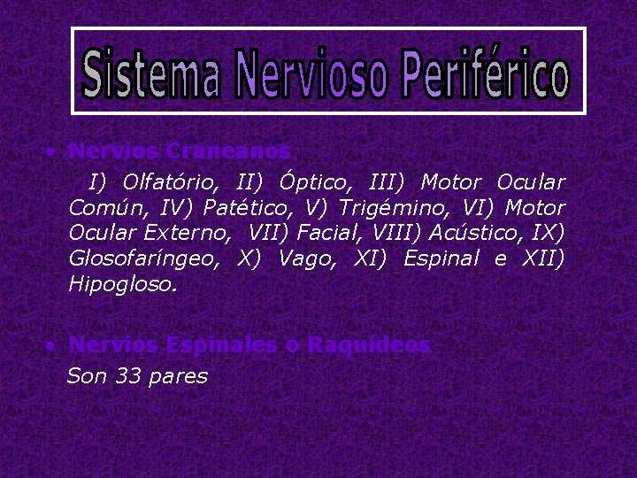  • Nervios Craneanos I) Olfatório, II) Óptico, III) Motor Ocular Común, IV) Patético,