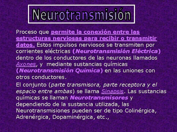  • Proceso que permite la conexión entre las estructuras nerviosas para recibir o