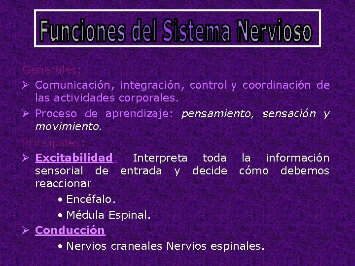 Generales: Ø Comunicación, integración, control y coordinación de las actividades corporales. Ø Proceso de