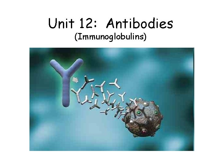 Unit 12: Antibodies (Immunoglobulins) 
