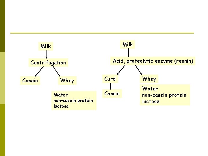 Milk Centrifugation Casein Whey Water non-casein protein lactose Acid, proteolytic enzyme (rennin) Curd Whey