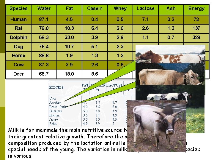 Species Water Fat Casein Whey Lactose Ash Energy Human 87. 1 4. 5 0.