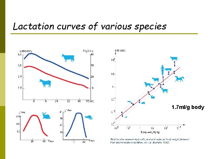 Lactation curves of various species 1. 7 ml/g body 