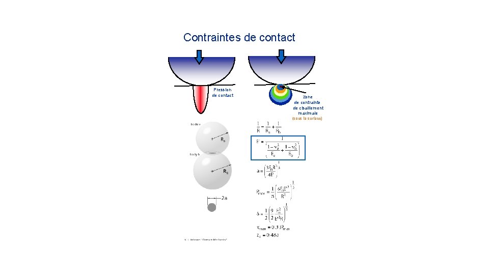 Contraintes de contact Pression de contact zone de contrainte de cisaillement maximale (sous la