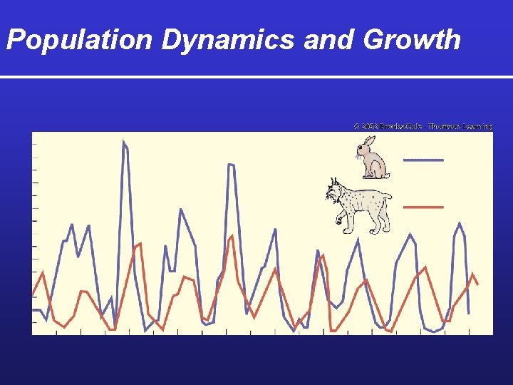 Population Dynamics and Growth 