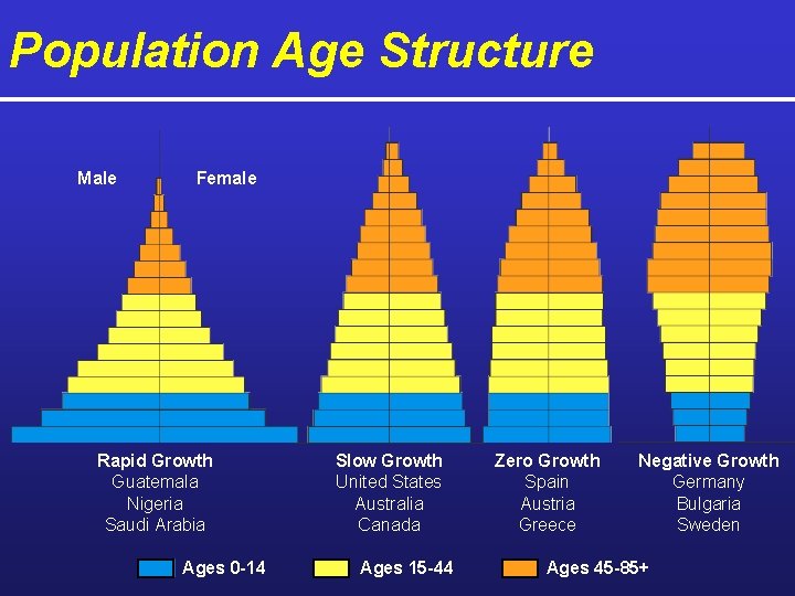 Population Age Structure Male Female Rapid Growth Guatemala Nigeria Saudi Arabia Ages 0 -14