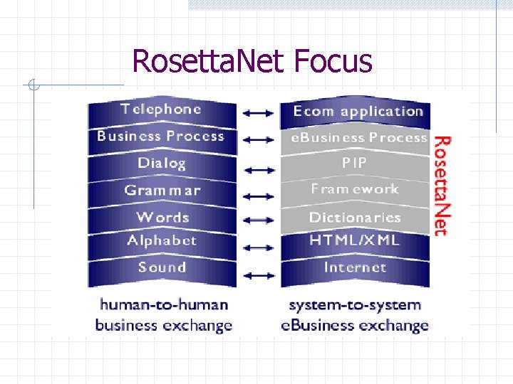 Rosetta. Net Focus 