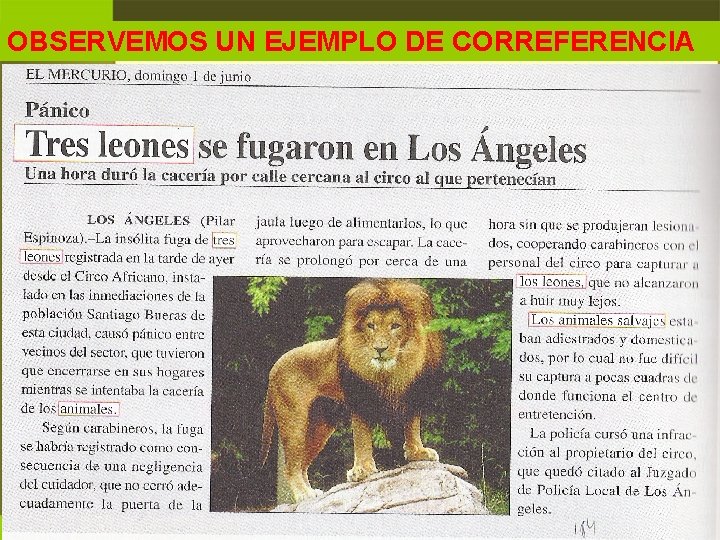 OBSERVEMOS UN EJEMPLO DE CORREFERENCIA 29 OBSERVEMOS UN EJEMPLO DE CORREFERENCIA 29