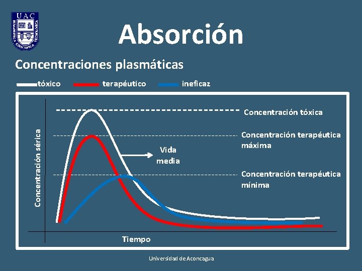 Absorción Concentraciones plasmáticas tóxico terapéutico ineficaz Concentración sérica Concentración tóxica Vida media Concentración terapéutica