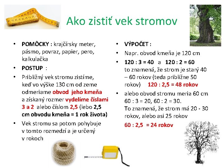  Ako zistiť vek stromov • POMÔCKY : krajčírsky meter, pásmo, povraz, papier, pero,