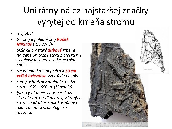 Unikátny nález najstaršej značky vyrytej do kmeňa stromu • • • máj 2010 Geológ