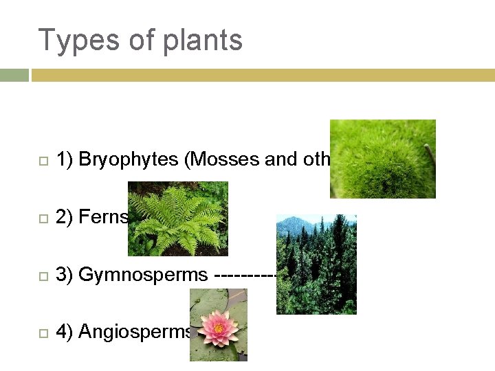 Types of plants 1) Bryophytes (Mosses and others) 2) Ferns 3) Gymnosperms ------- 4)